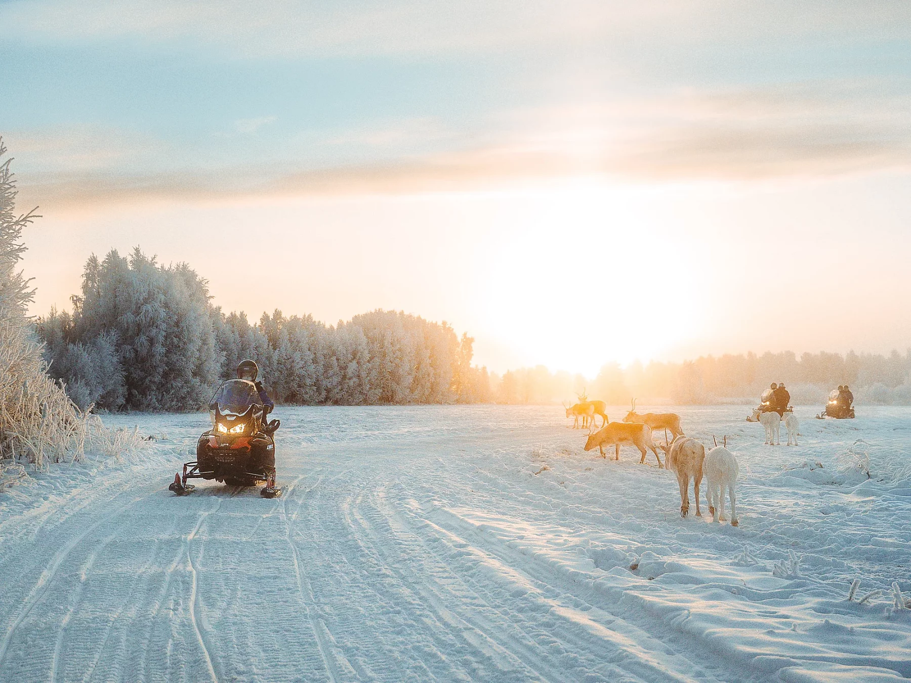 snowmobile